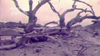Ischigualasto o Valle de la Luna en San Juan - Pelicula Documental 1969
