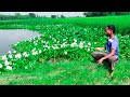 Fishing Video || Traditional crazy boy fishing in village pond with hook || Village pond fishing