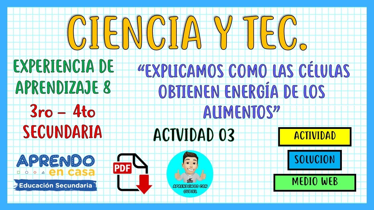 EXPERIENCIA DE APRENDIZAJE 8 ACTIVIDAD 03 DE CIENCIA Y TECNOLOGIA 3° Y