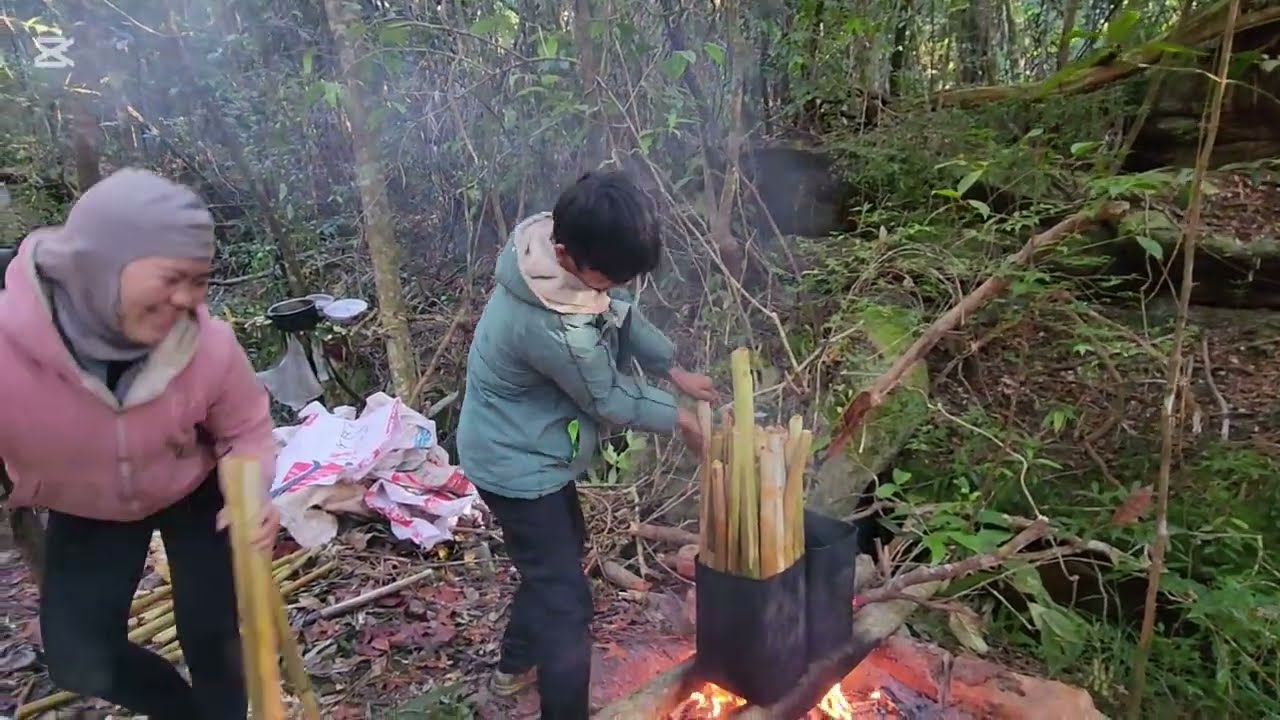 Peb lo hau plawv nawb