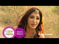 Zee world curse of the sands  weekly recap  june w1