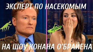 Эксперт По Насекомым Напугал Конана О&#39;Брайена и Милу Кунис [Русская Озвучка]