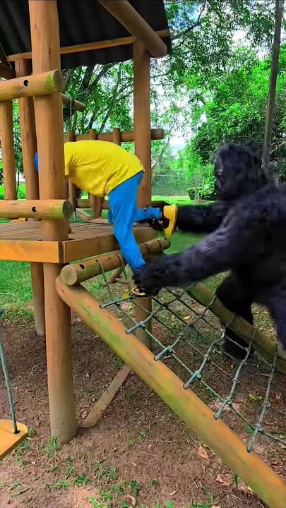 Awas Kingkong Ngamuk | O SUSTO KONG 🦍 #funny #funnymoments #halloween #alone