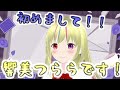 【初投稿】はじめまして、響美つららんです!【新人Vtuber】