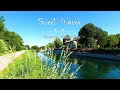 Throw Stress Away with Relaxing Piano Music & Beautiful Nature - Sleep Music, Stress Relief Music