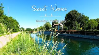 Throw Stress Away with Relaxing Piano Music &amp; Beautiful Nature - Sleep Music, Stress Relief Music
