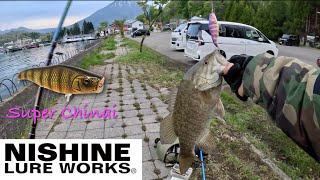 春の野尻湖でスーパーチナイを使って楽しむトップウォーターゲーム！Catching a nice smallmouth on Nishine Lure Works’ Super Chinai.