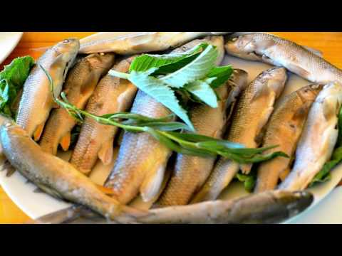 აბასთუმანი საკალმახე