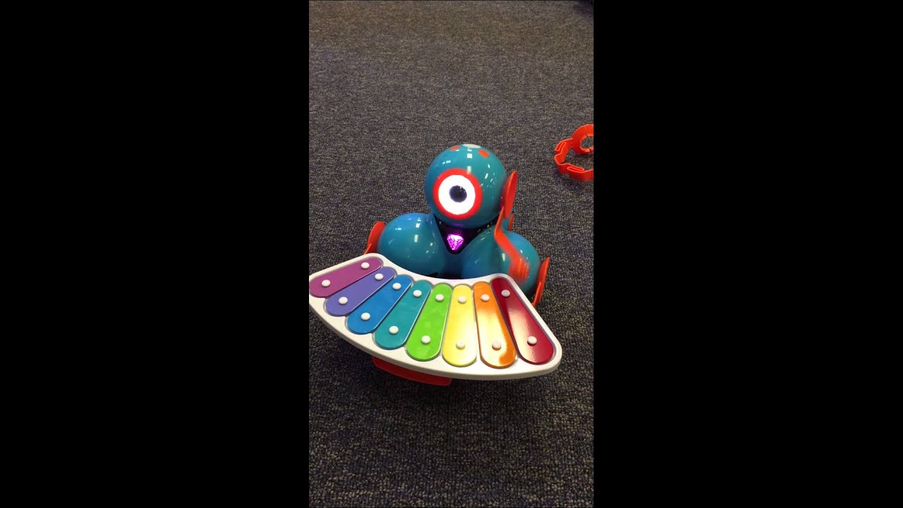 Dash & Xylophone YouTube