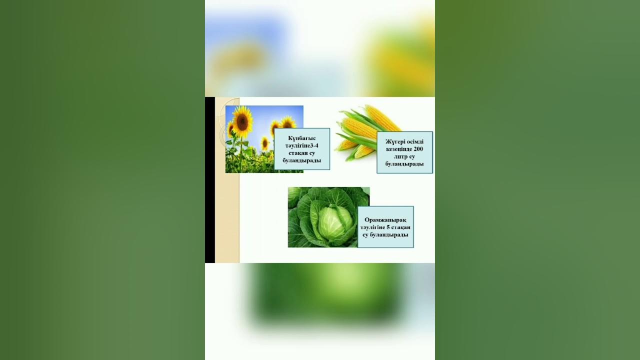 Қазақстандағы ауылдағы әйелдер әжетханасына кірген әйелдердің видеосын қараңыз.