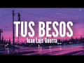 Tus besos - Juan Luis Guerra (Letra)