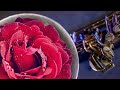 1 hour of romantic saxophone music
