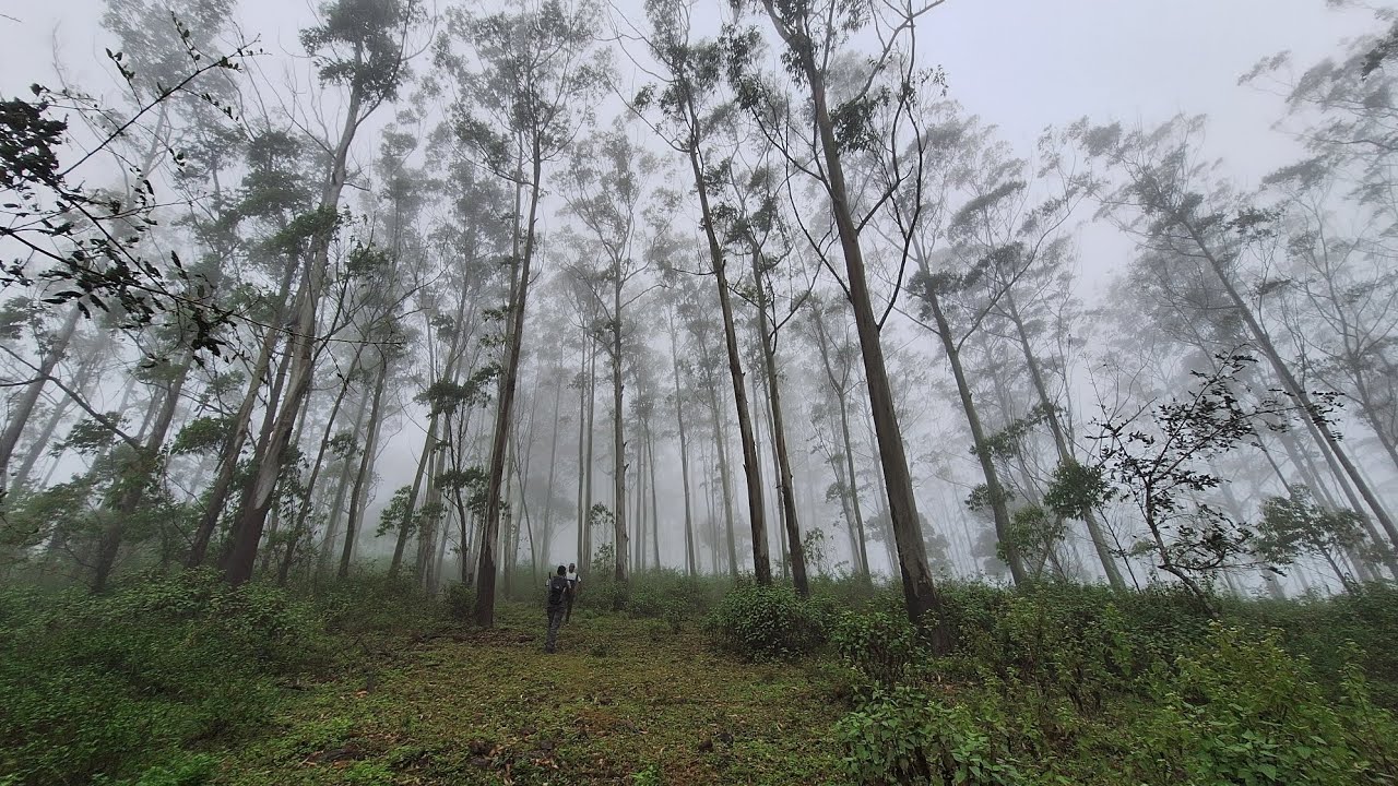 Thrilling Trek to Sanyasimalai, Yercaud - Hidden Gem of Tamil Nadu! Adventure Naturally Happily😊 ✨️