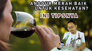 Manfaat Minuman Keras Untuk Kesehatan | Pecinta Wine Anggur Merah Beer Ngumpul