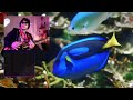 Chat &amp; psychadelic stereo guitar Improv 🎸