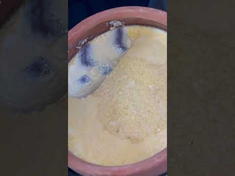 Pure Homemade Cow Milk Curd | খাঁটি ঘরে তৈরি গরুর দুধের দেশি দই 🥛🥣