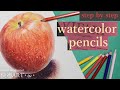 【水彩色鉛筆】🍎林檎の描き方―簡単解説―【watercolored pencils】how to draw an apple 《step by step tutorial》