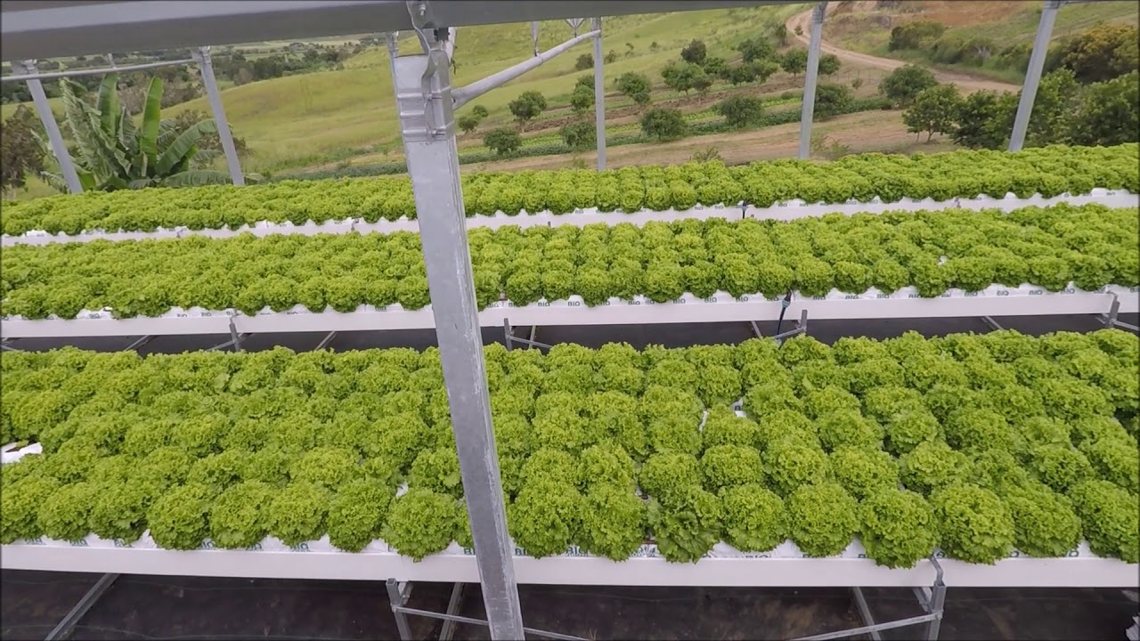 GOPONIC  - Gouttière hydroponique multifonction