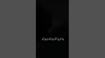 تلاوة القرآن الكريم🤎🪐