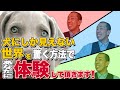 【犬が見ている世界】をあなたに体験させます！こんなに簡単で便利な方法があるんです！松本秀樹のタメになる話！