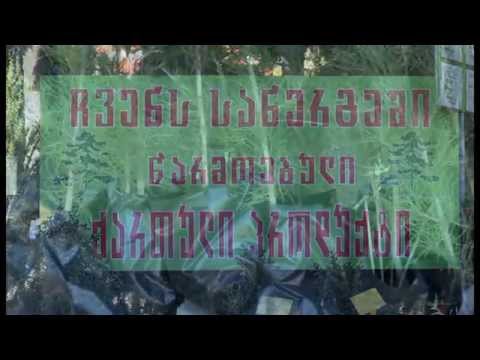 \"საქართველოს ნერგების\" ბაღი