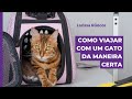 COMO VIAJAR COM UM GATO DA MANEIRA CERTA