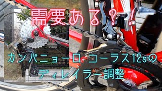 【ロードバイク】カンパニョーロ コーラス12sのディレイラー調整【メンテナンス】【ディレイラー調整】