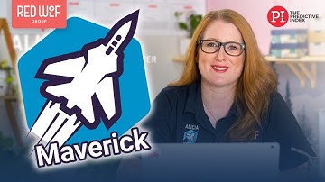 The MAVERICK Profile | 17 Reference Profiles | Predictive Index