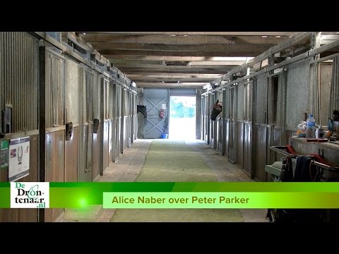VIDEO | Alice Naber: ,,Peter Parker heeft geen zwakke punten