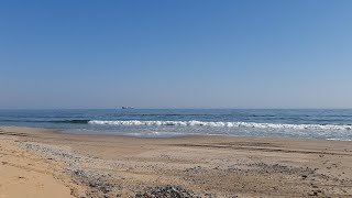 DJ Dezz - Moombahton MegaMix (REC-2026-01-28)