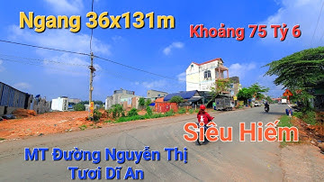 Siêu Hiếm Ngang 36x131m Mặt Tiền đường Nguyễn Thị Tươi Dĩ An Chỉ 16 triệu/m2 | #1spbdstho