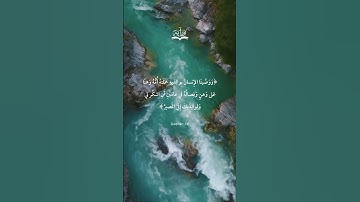 ﴿وَوَصَّينَا الإِنسانَ بِوالِدَيهِ | سورة لقمان آية 14 | ناصر القطامي #قرآن #تلاوة_خاشعة