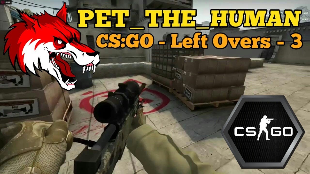 Pet The Human: CSGO Leftovers