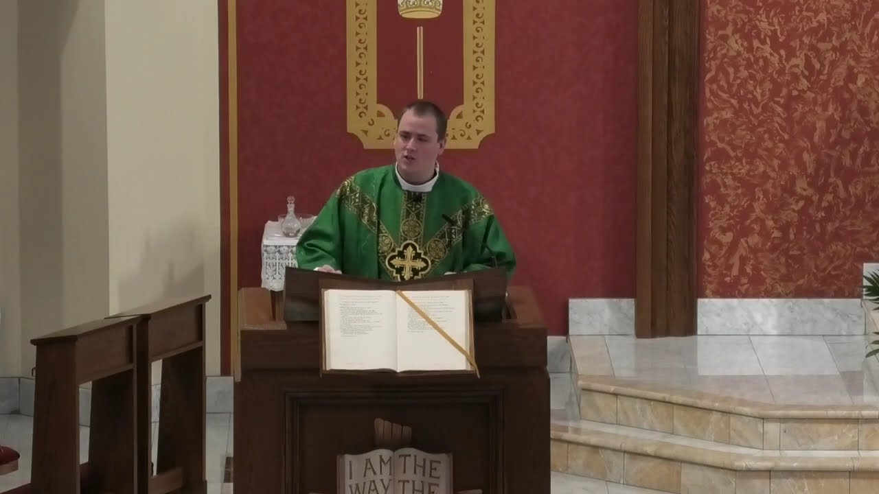 Homily, Twelfth Sunday in Ordinary Time - Fr. Meinert