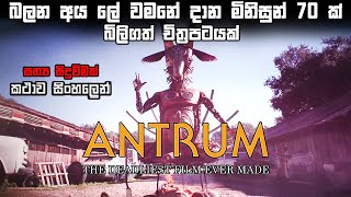 බලන අය ලේ වමනේ දාන මිනිසුන් 70 ක් බිලිගත් චිත්‍රපටයක් 😱 | Horror movie explained in Sinhala | BK