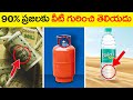 90      amazing facts about daily life  unkonwn facts telugu