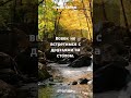 Мы больше в этот мир вовек не попадем #хайям #философия
