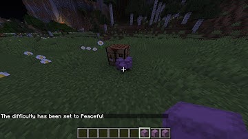 Minecraft 1.15.2 Java edition Duplication Glitch (WORKING)