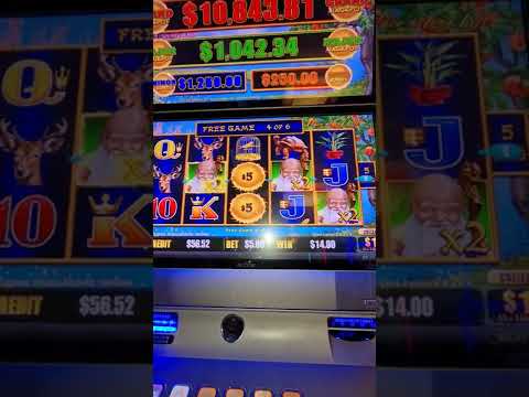 Experience the Thrill of Online Pokies with Pokies.net in Australia