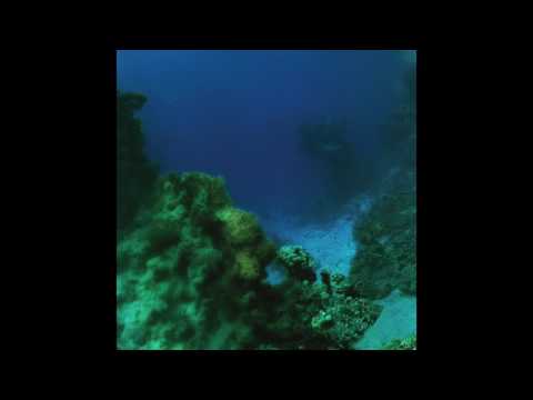 Tiny Fingers — TINY FINGERS - The Fall ( Full Album )
