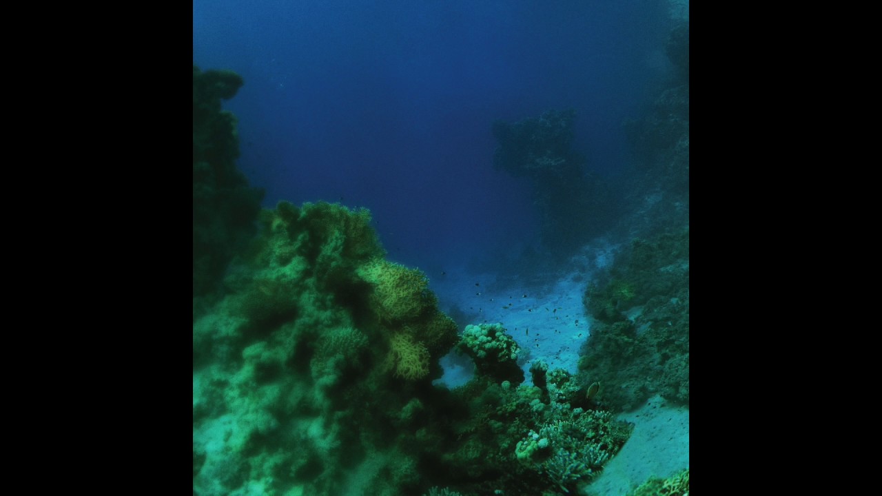 Guarda TINY FINGERS - The Fall ( Full Album ) su YouTube Guarda TINY FINGERS - The Fall ( Full Album ) su YouTube