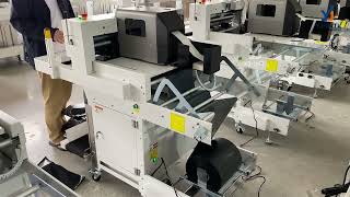 High-Speed Auto Bagging Machine for E-Commerce Fulfillment