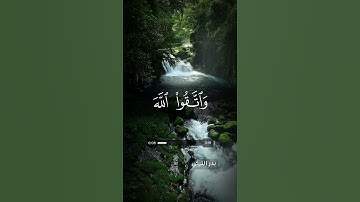 قرآن كريم بصوت جميل | سورة آل عمران - آية 200 | بدر التركي