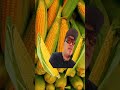 #corn#fruitedit#shorts #youtubeshorts @namnc