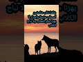 أجمل حكم الذئاب 