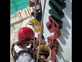Rope Access Timeframe Group painters