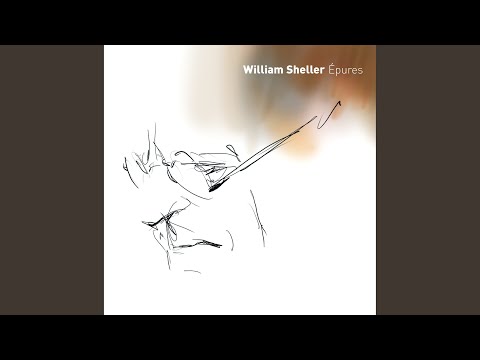William Sheller — Pour La Main Gauche (Instrumental)