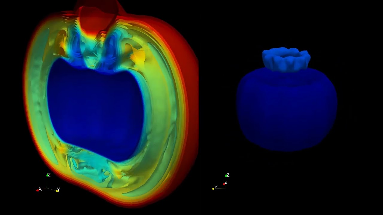 Imploding Pumpkin (FV Euler)