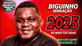 BIGUINHO SENSAÇÃO    AS MAIS TOCADAS   SELEÇÃO AS MELHORES 2025