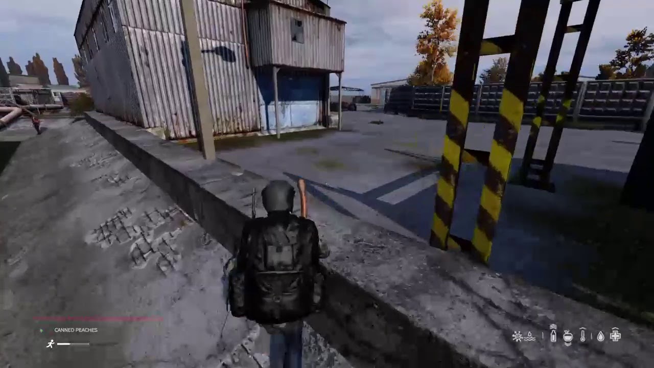 DAYZ PS4 GAMEPLAY